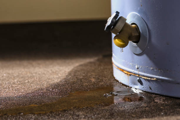 Best 24-hour water damage restoration  in Centerport, NY