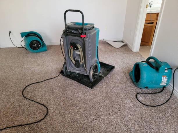 Best Carpet water damage restoration  in Centerport, NY