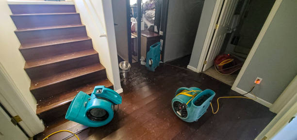 Best Basement water damage restoration  in Centerport, NY