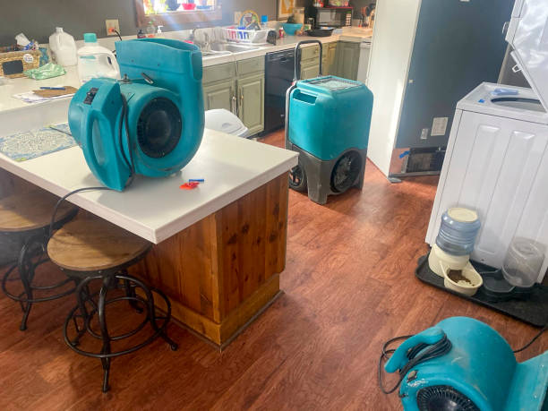 Best Flood damage cleanup  in Centerport, NY
