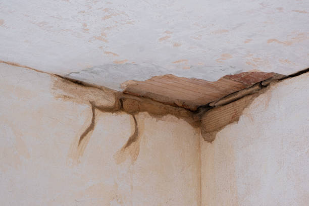  Centerport, NY Water damage restoration Pros