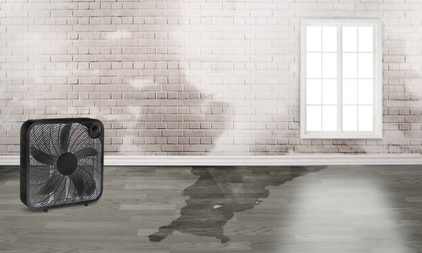 Best Water damage restoration near me  in Centerport, NY