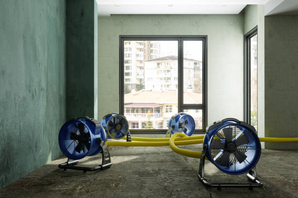 Best Water damage contractors near me  in Centerport, NY